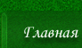 искусственная трава в Казахстане и России.